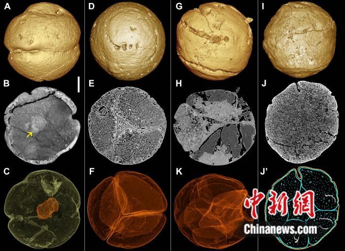 中外生命科学的对比,清华生命科学团队优势对比