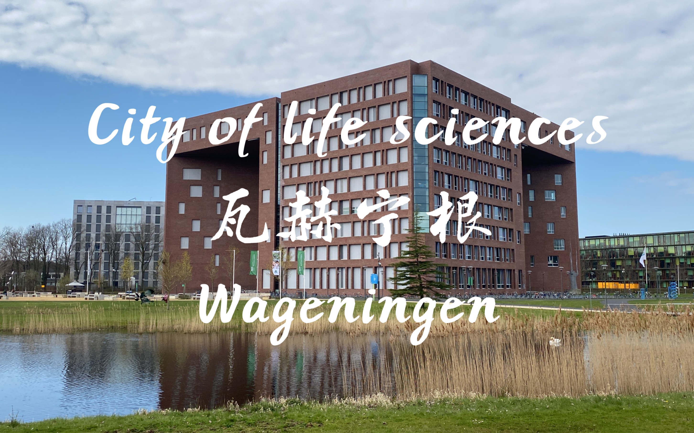 青岛国际生命科学城,青岛国际生命科学城地址