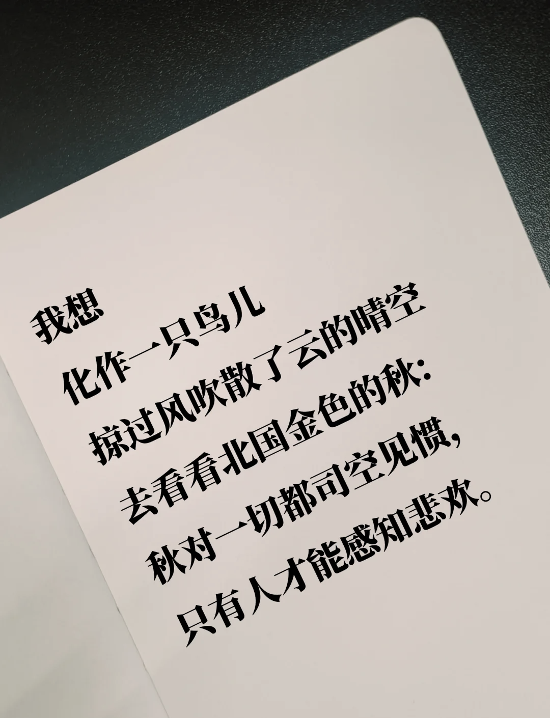 探索秋天文案,文案秋天的感受 探索秋天文案,文案秋天的感受