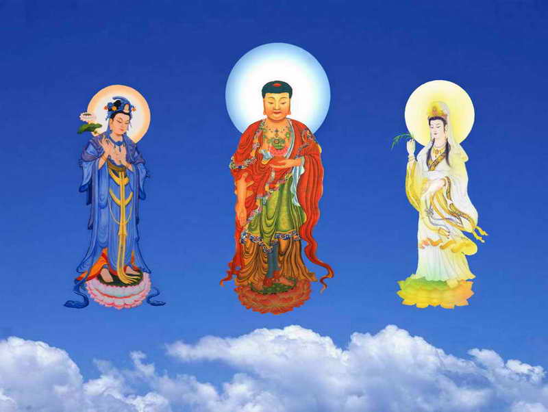 佛教是究竟的生命科学,佛教是究竟的生命科学还是哲学