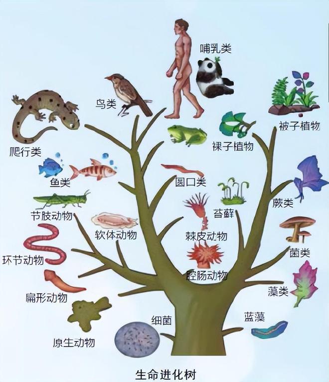 生物学vs地球科学,生物学和其他科学的历史