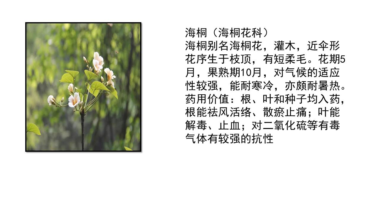 生命科学本科几年,生命科学本科几年毕业 生命科学本科几年,生命科学本科几年毕业