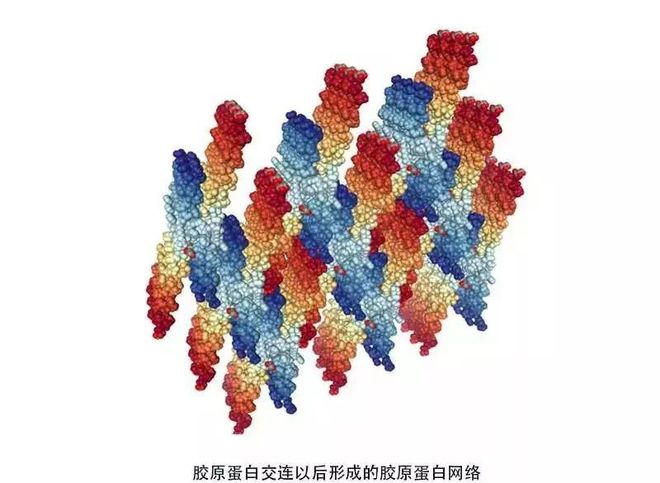 生命科学网易,生命科学 AI 生命科学网易,生命科学 AI