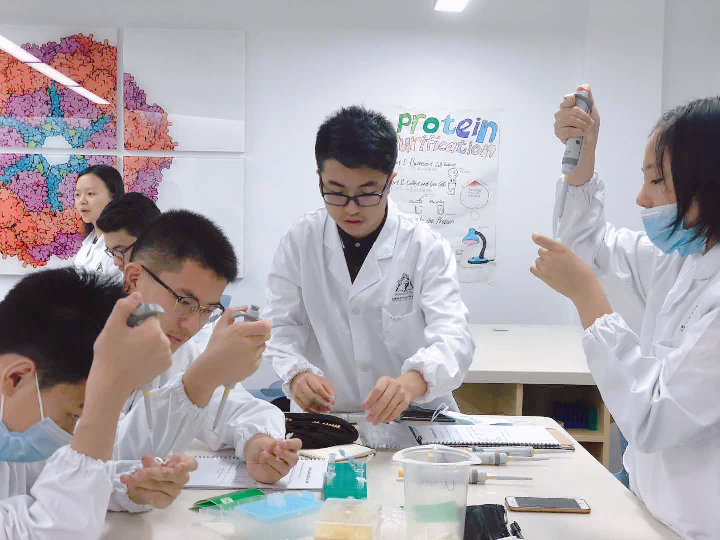 青岛大学生命科学竞赛,全国大学生生命科学竞赛 青岛大学生命科学竞赛,全国大学生生命科学竞赛