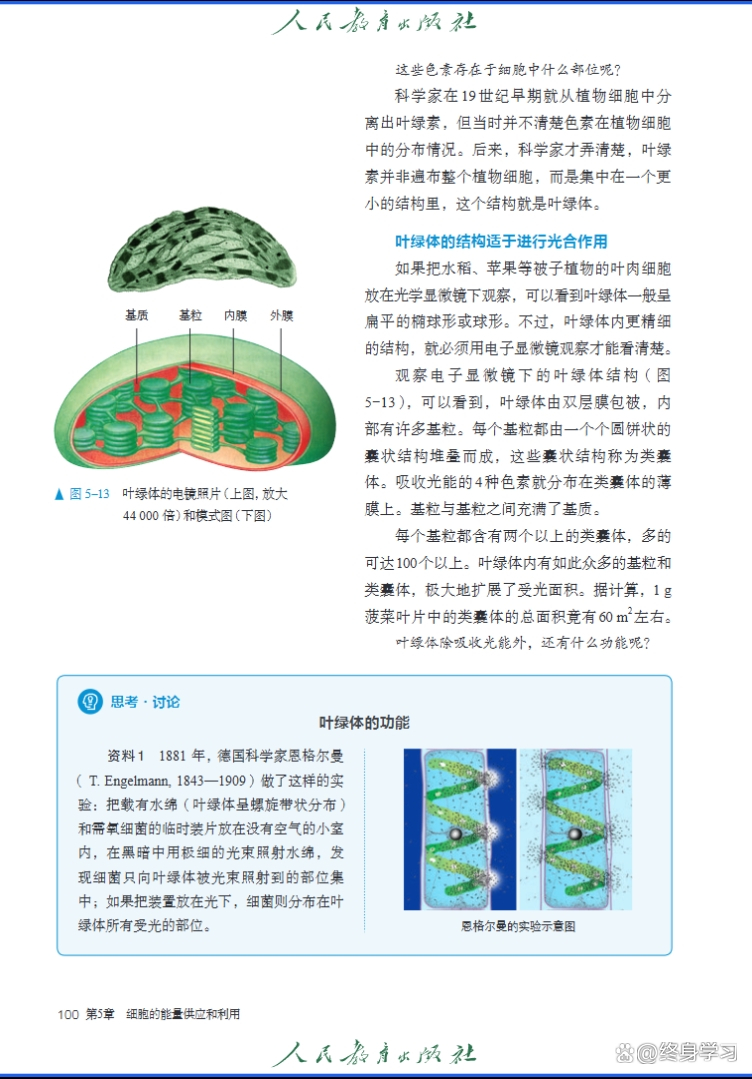 生物科学类和生命科学,生物科学和生物科学类有什么区别