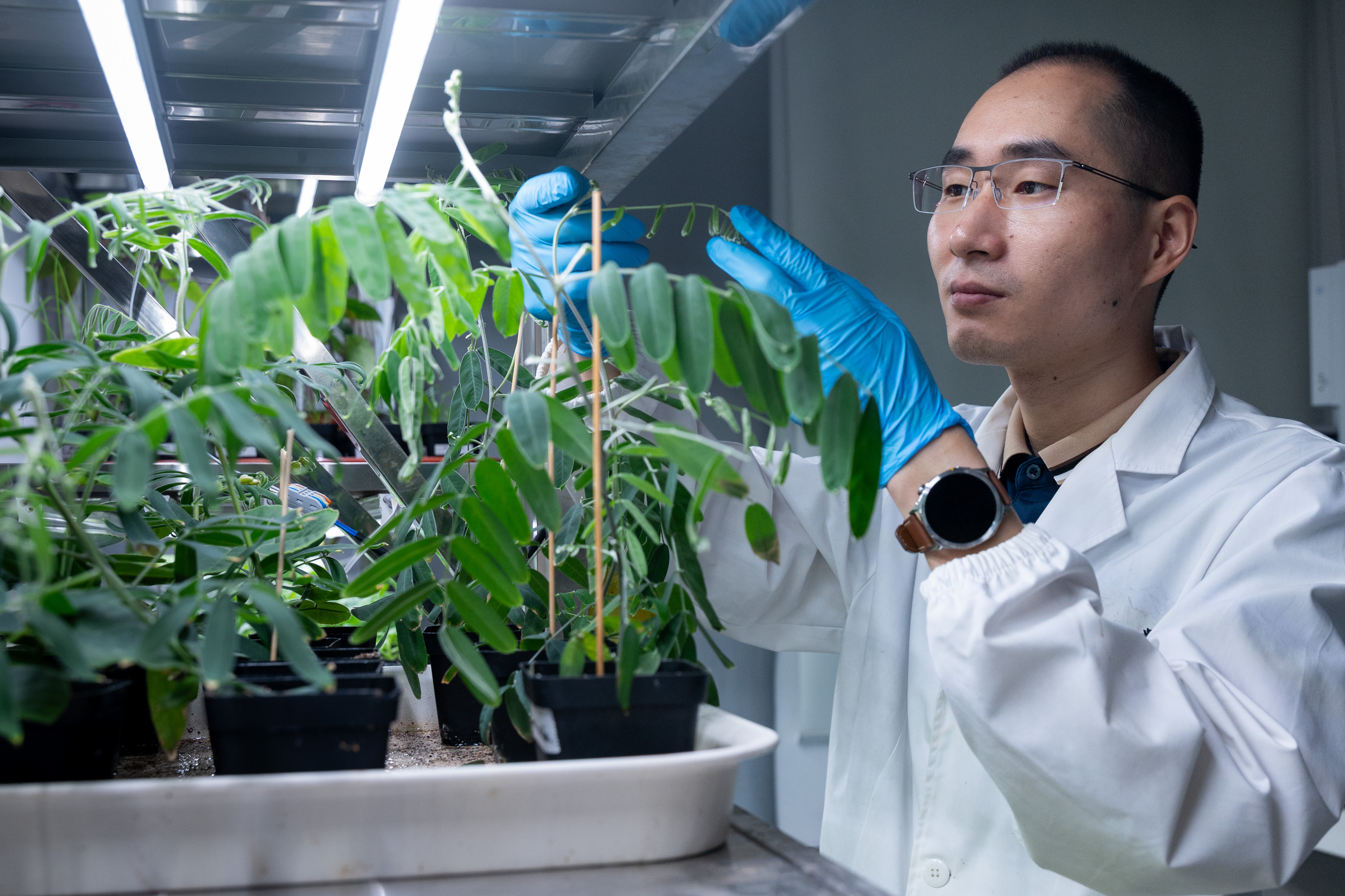 生命科学林浩然,生命科学林浩然简介 生命科学林浩然,生命科学林浩然简介