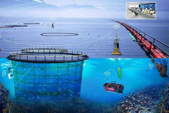 解密海洋科技前沿,2026年海洋科技突破进展