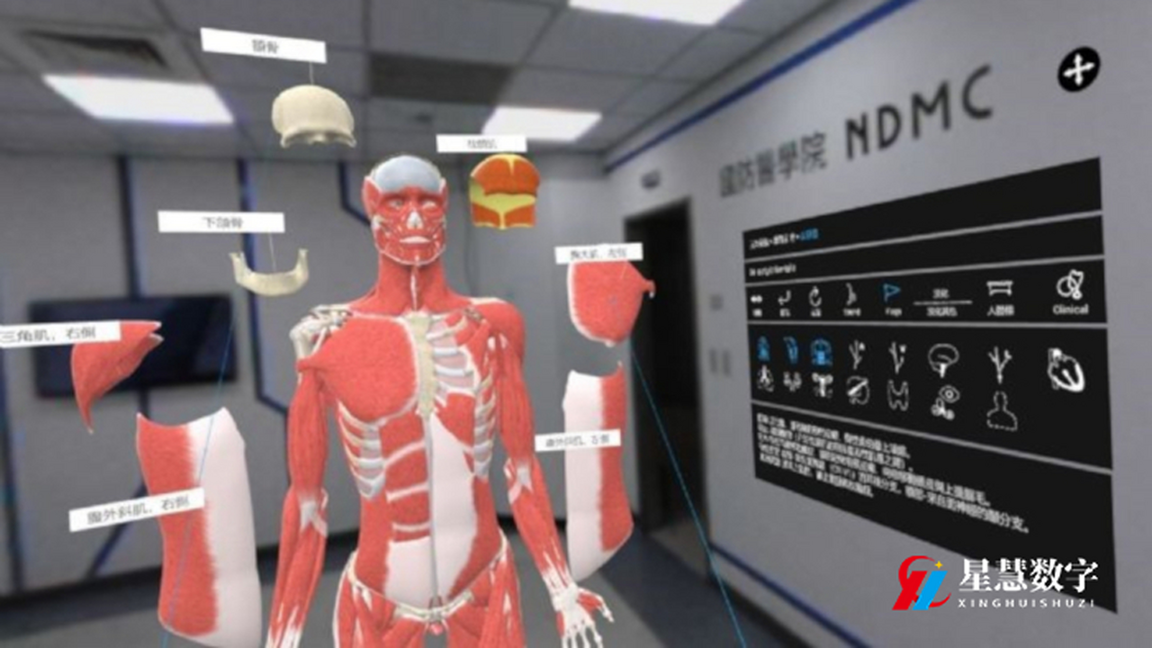 人体生命科学就业前景,生物生命科学专业就业前景 人体生命科学就业前景,生物生命科学专业就业前景