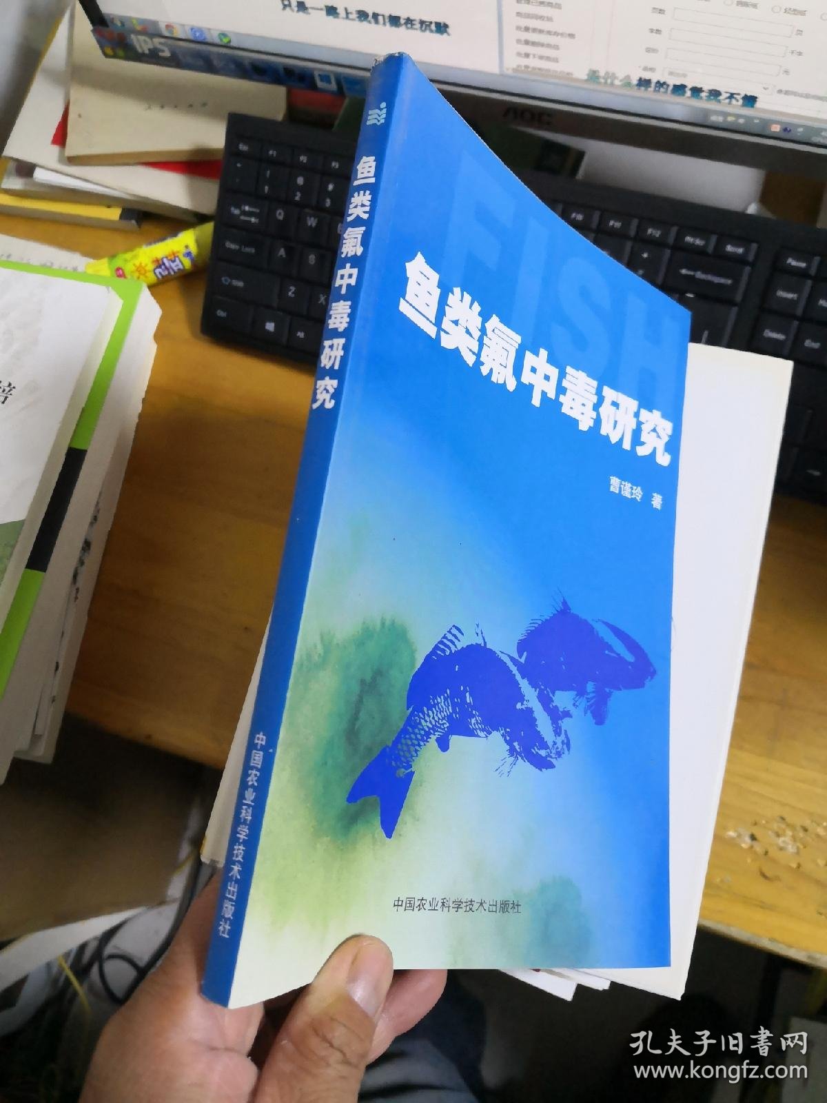 鱼类科技前沿研究,鱼类摄食与诱食源的研究