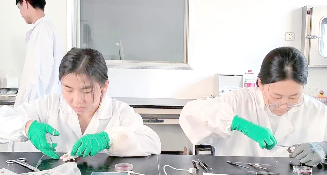 西北大学复试生命科学,西北大学生命科学保研率 西北大学复试生命科学,西北大学生命科学保研率