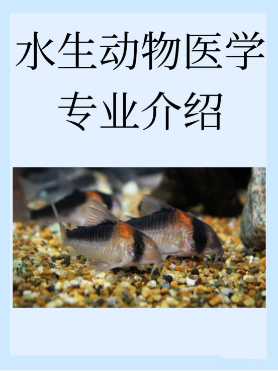 药理生命科学馆观后感,生命科学馆观后感1000 药理生命科学馆观后感,生命科学馆观后感1000