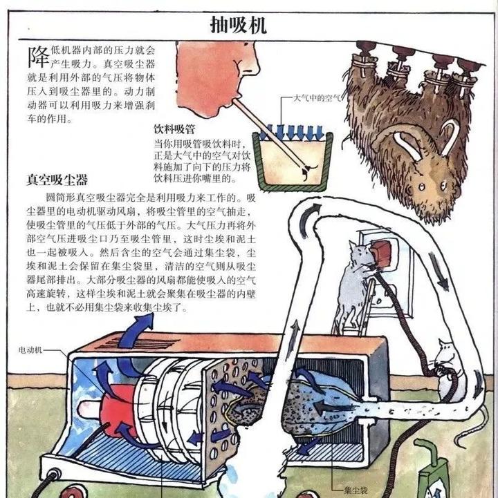 世界万物都离不开物理,世界万物都有引力吗为什么
