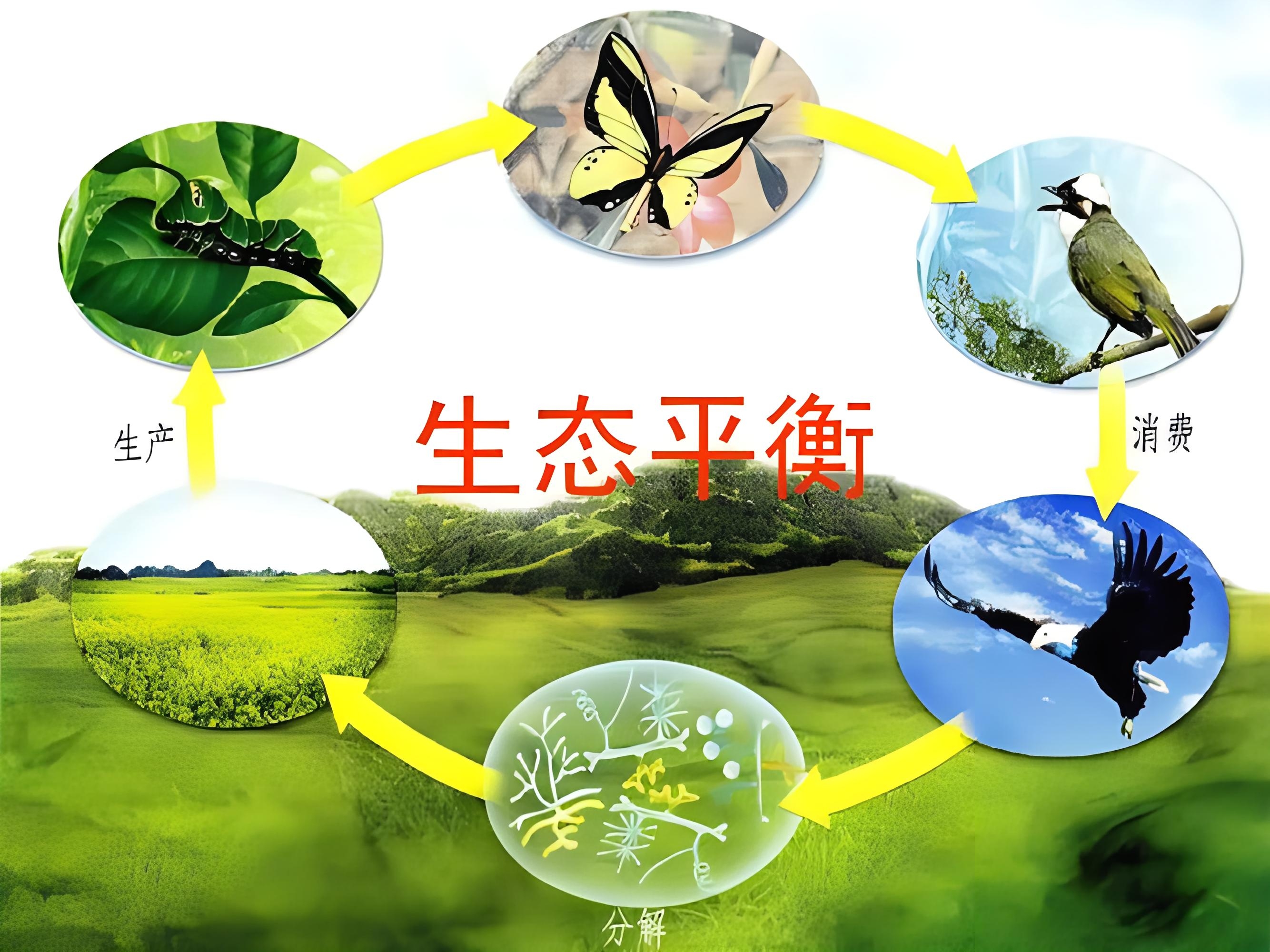 生命科学关于动物,生命科学关于动物的手抄报