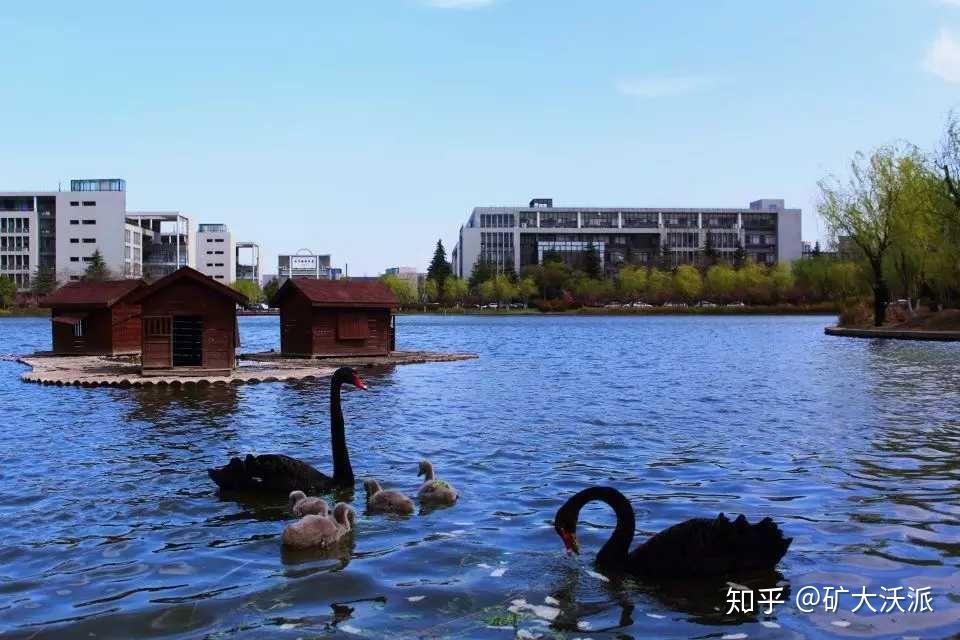矿大地球科学学部,矿大地球信息考研成功率