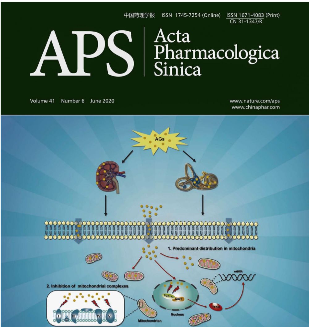 生命科学类的核心期刊,生物教学的核心期刊有哪些