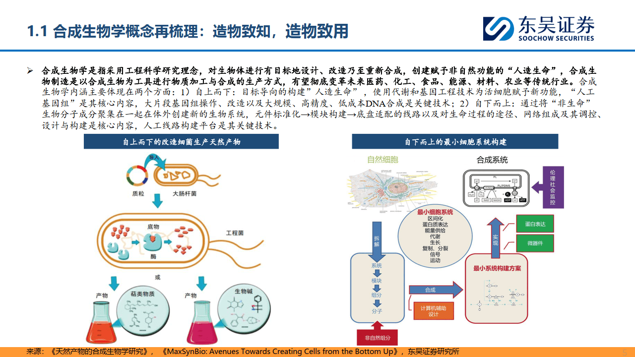 生命科学小文章,生命科学小文章怎么写
