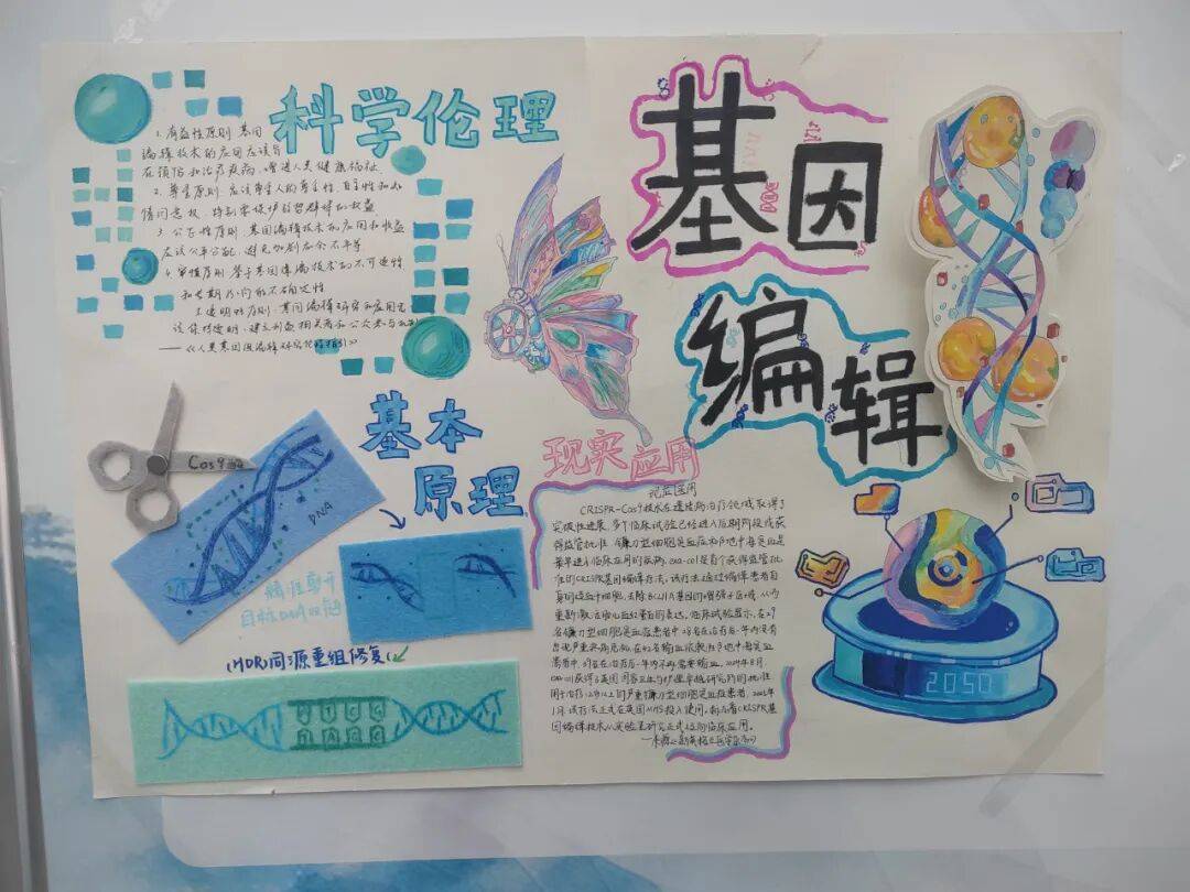 生命科学小文章,生命科学小文章怎么写