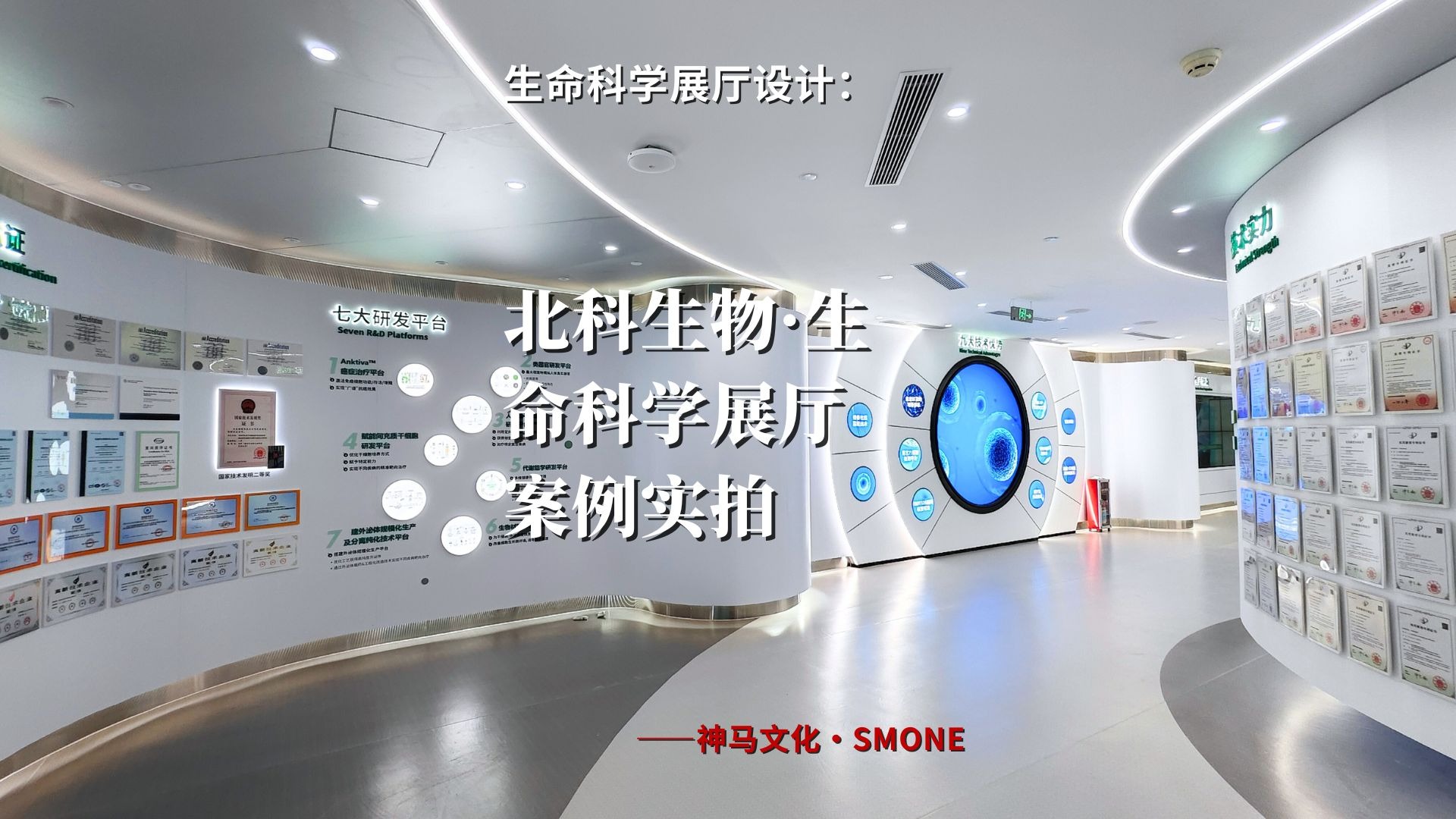 科学区生命科学区区别,中国科学生命科学是几区