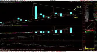 恩德拉生命科学股票,恩典生命科技股票能买吗
