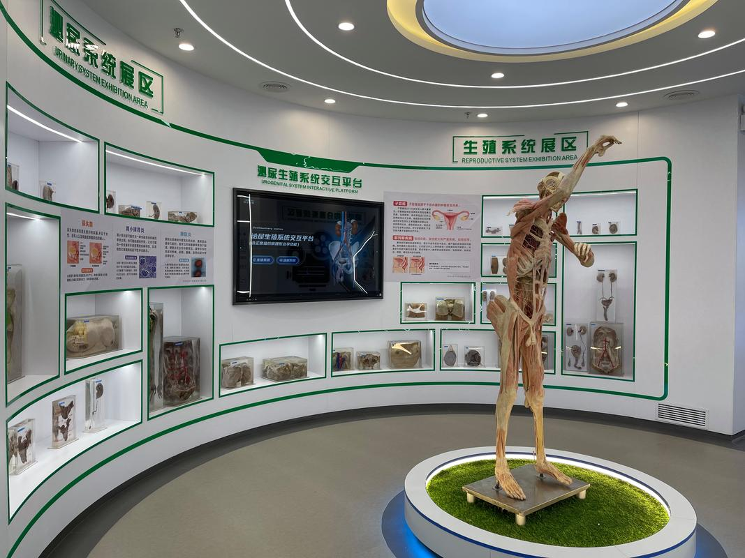生命科学馆总览,人体生命科学馆讲解