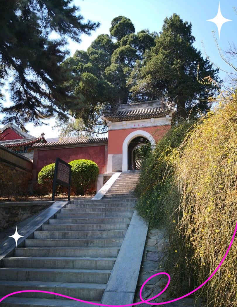 香山公园到生命科学园,从生命科学园坐地铁出发到团结湖怎么走