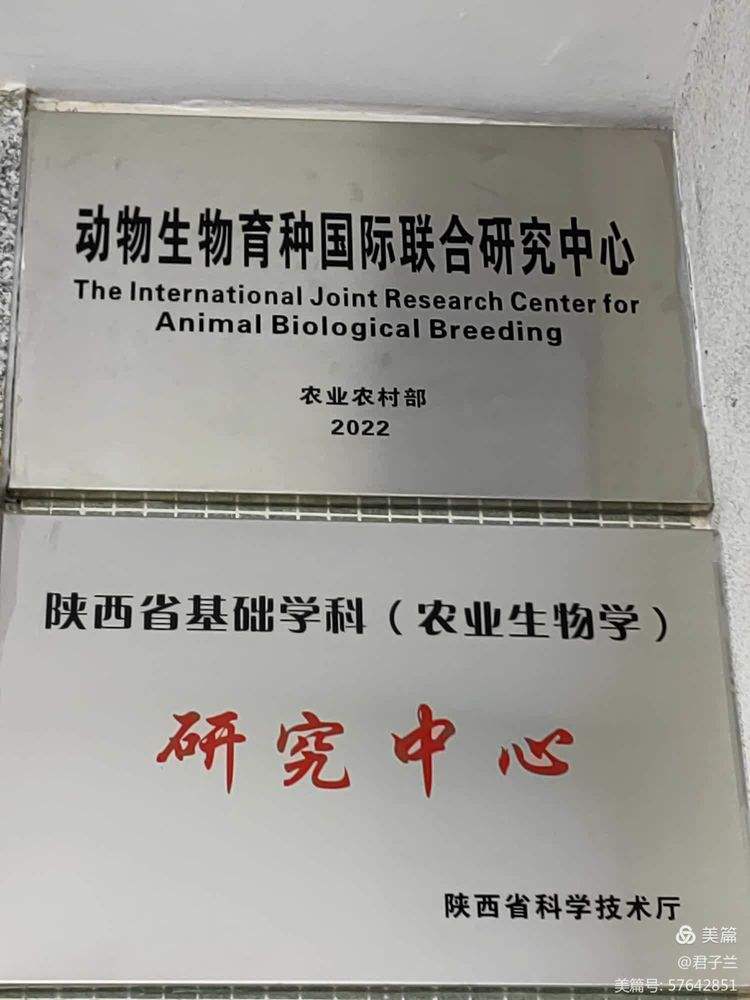 西农生命科学专业,西农生物科学专业好吗