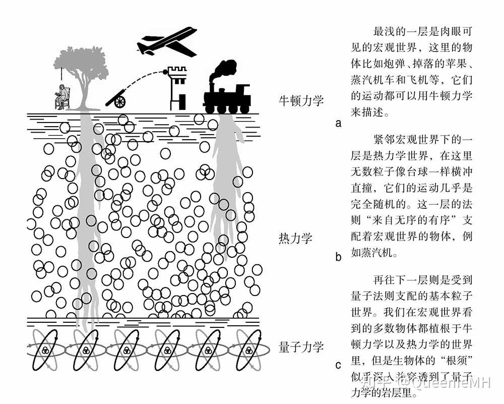 生命科学与自己的关系,生命科学与人身安全的关系 生命科学与自己的关系,生命科学与人身安全的关系