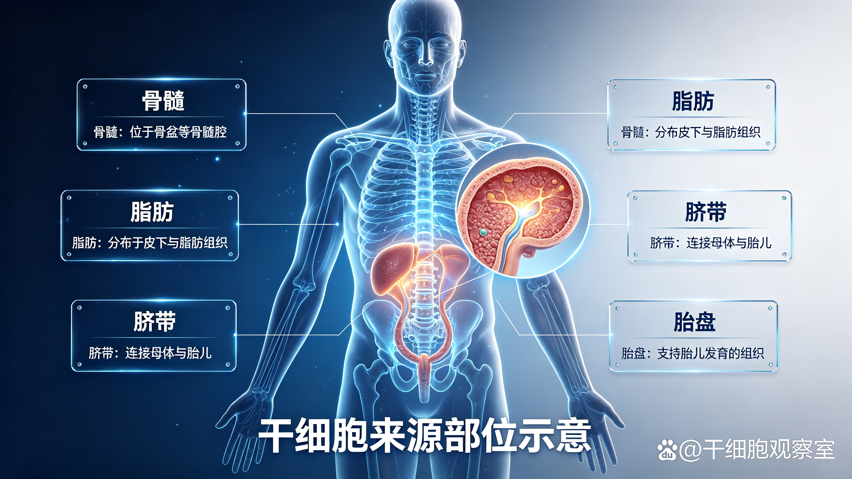 生命科学细胞科普知识,生命科学名著细胞pdf百度网盘 生命科学细胞科普知识,生命科学名著细胞pdf百度网盘