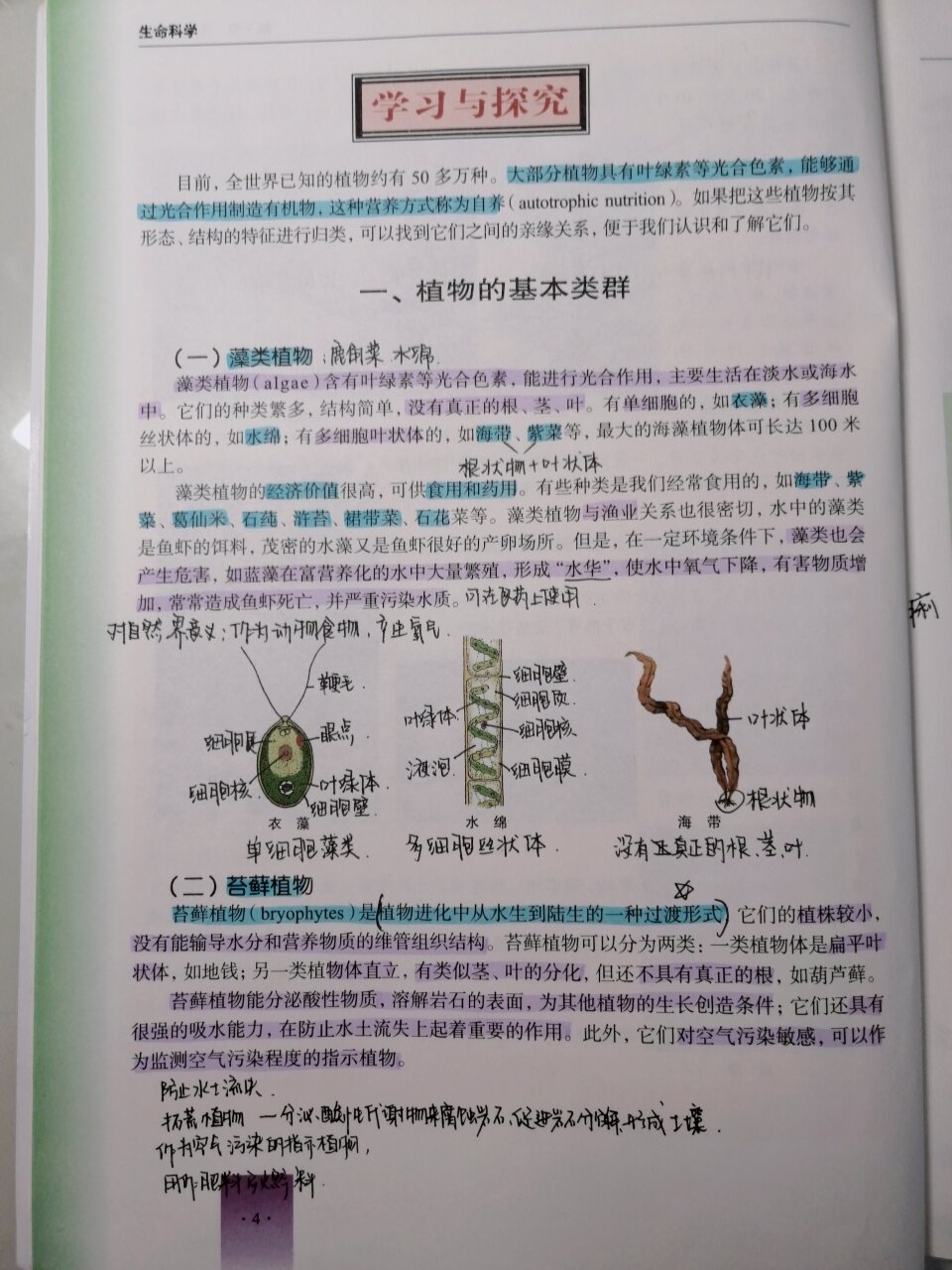 生命科学沪教版八上,沪科版2026八上电子课本下载 生命科学沪教版八上,沪科版2026八上电子课本下载
