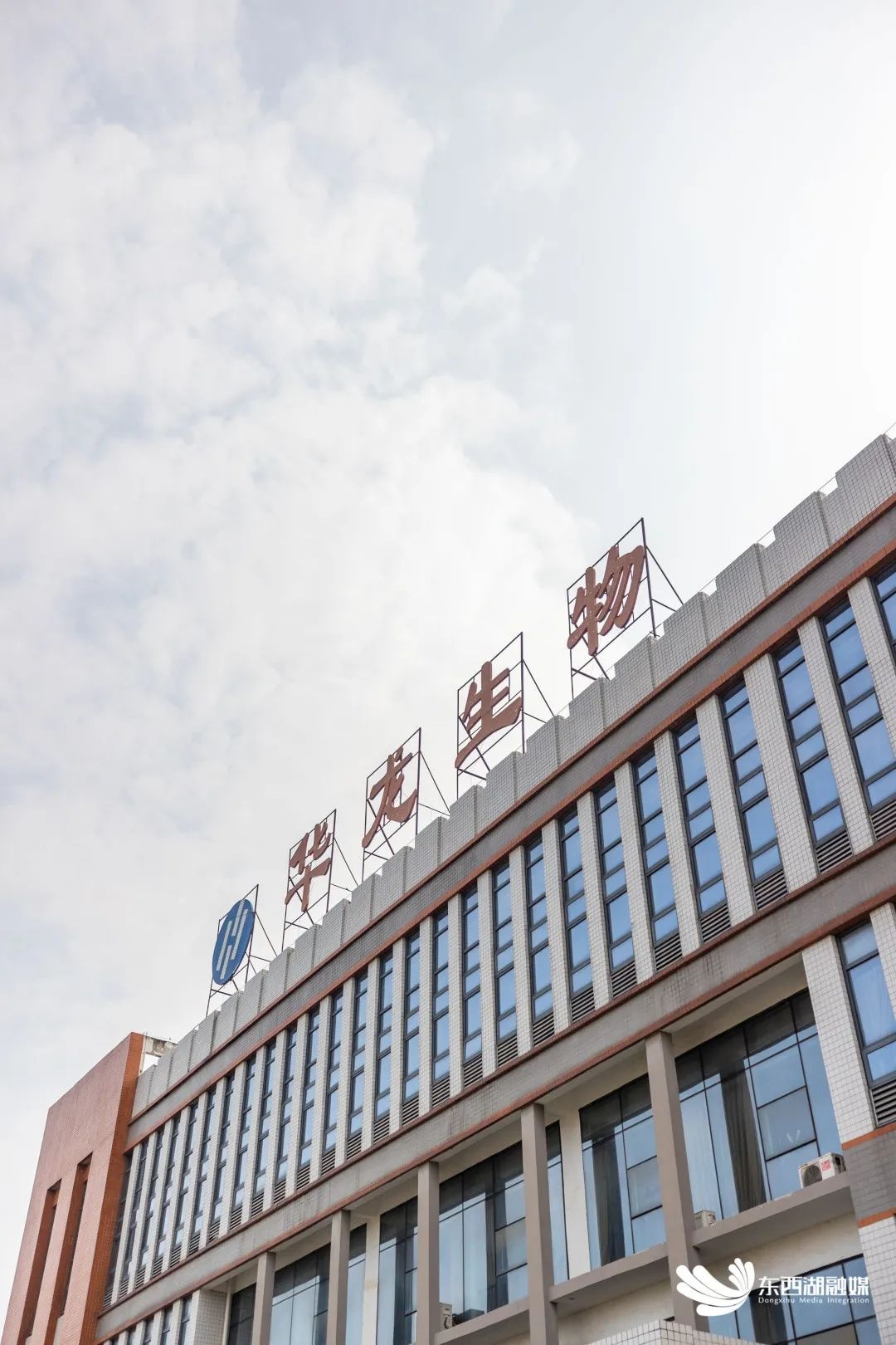 东莞桥头生命科学产业,东莞桥头生命科学产业园 东莞桥头生命科学产业,东莞桥头生命科学产业园