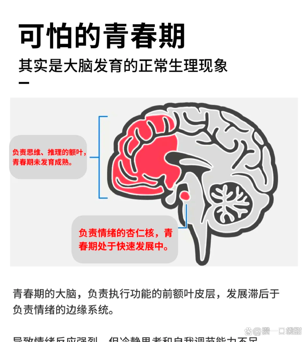 生命科学发展阶段,2025年生命科学十大进展 生命科学发展阶段,2025年生命科学十大进展