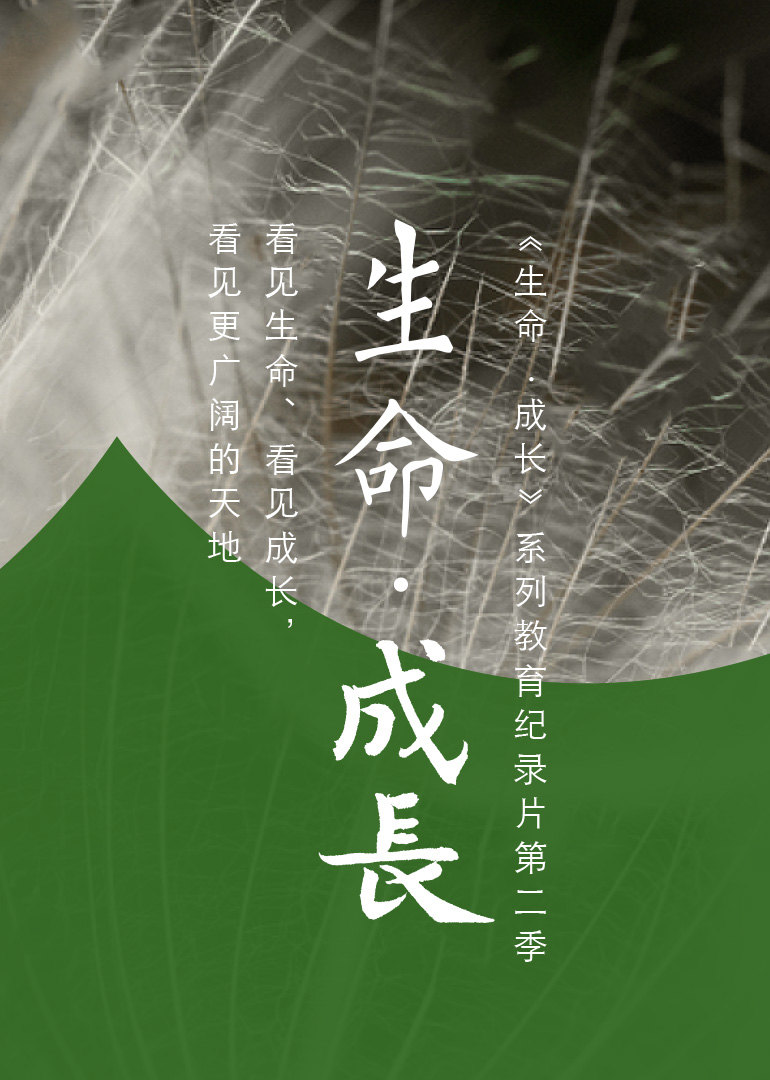 生命科学主题主题二,生命科学技术的重大突破 生命科学主题主题二,生命科学技术的重大突破
