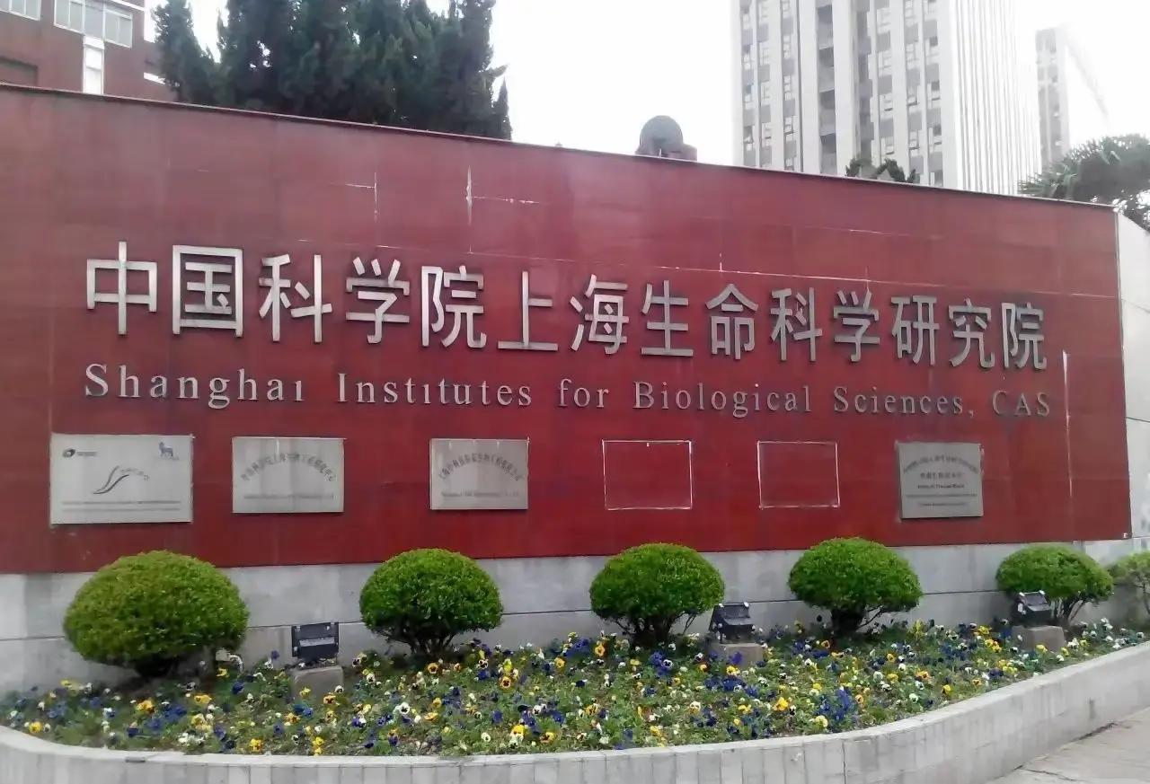上海生命科学研究院猫,上海生命科学研究院经费 上海生命科学研究院猫,上海生命科学研究院经费
