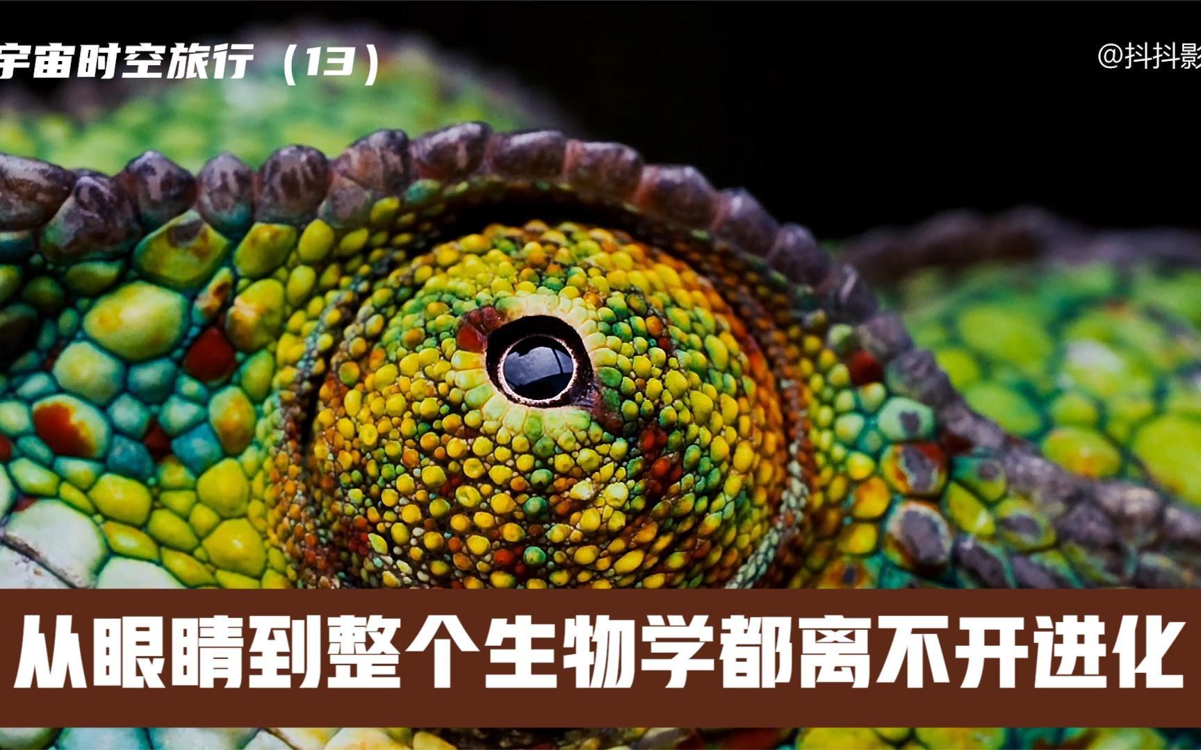 生命科学自然,生命科学和自然科学的关系 生命科学自然,生命科学和自然科学的关系