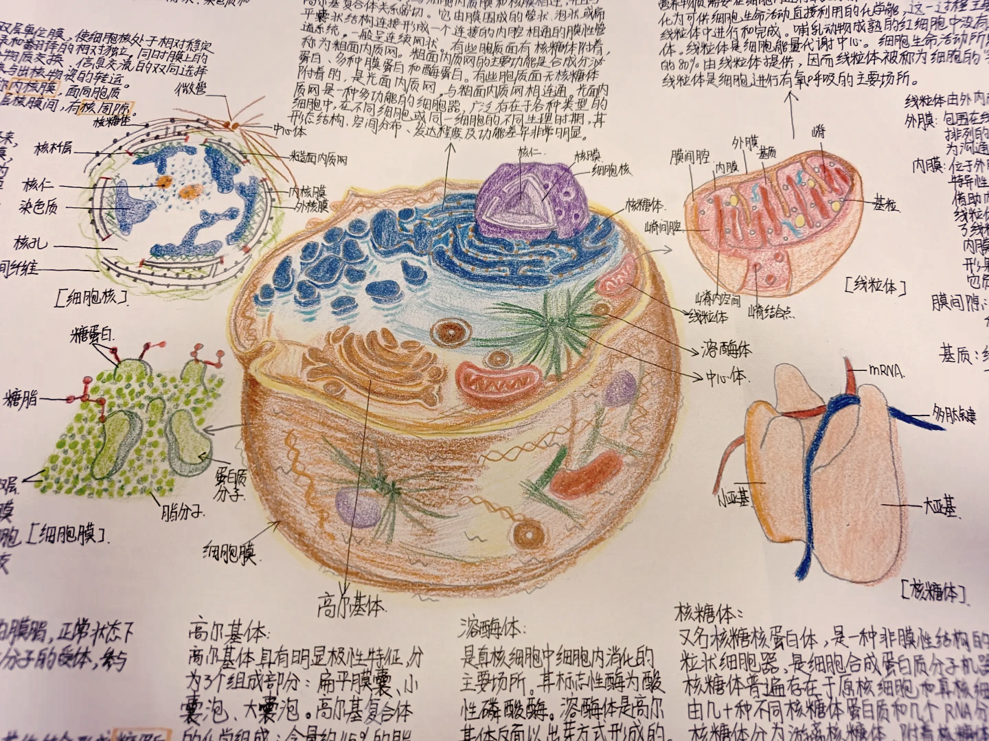 生命科学互动留言,生命科学伦理心得体会 生命科学互动留言,生命科学伦理心得体会