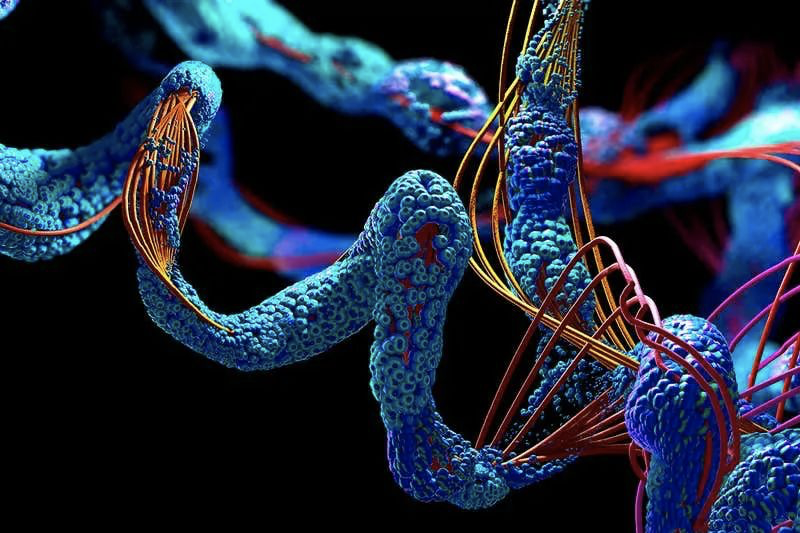 攻克生命科学,生命科学技术的重大突破