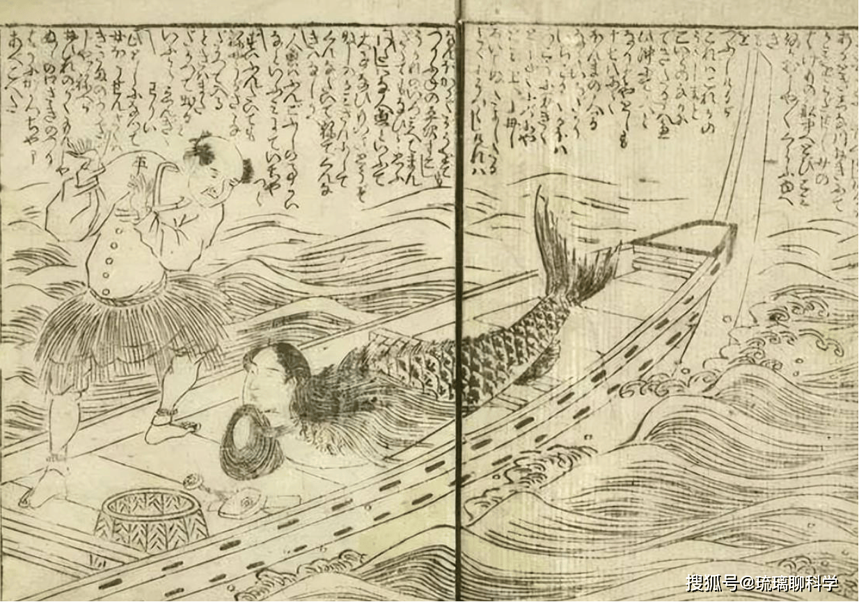山海经与人体生命科学,山海经与中国文化的关系 山海经与人体生命科学,山海经与中国文化的关系