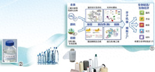 生命科学领域新的变革,生命科学领域的六个主要概念