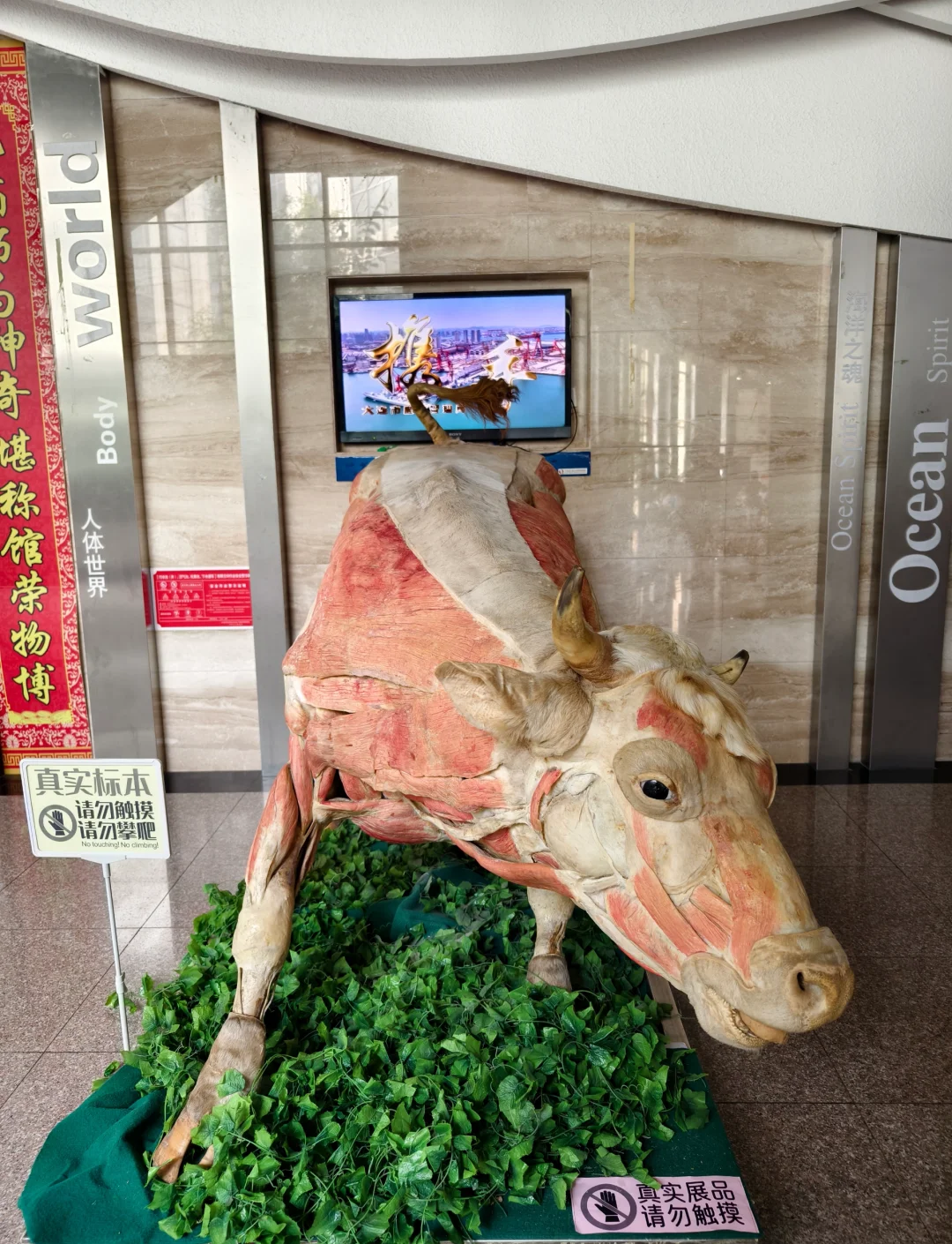 纪念品生命科学馆,生命科学馆是干什么的
