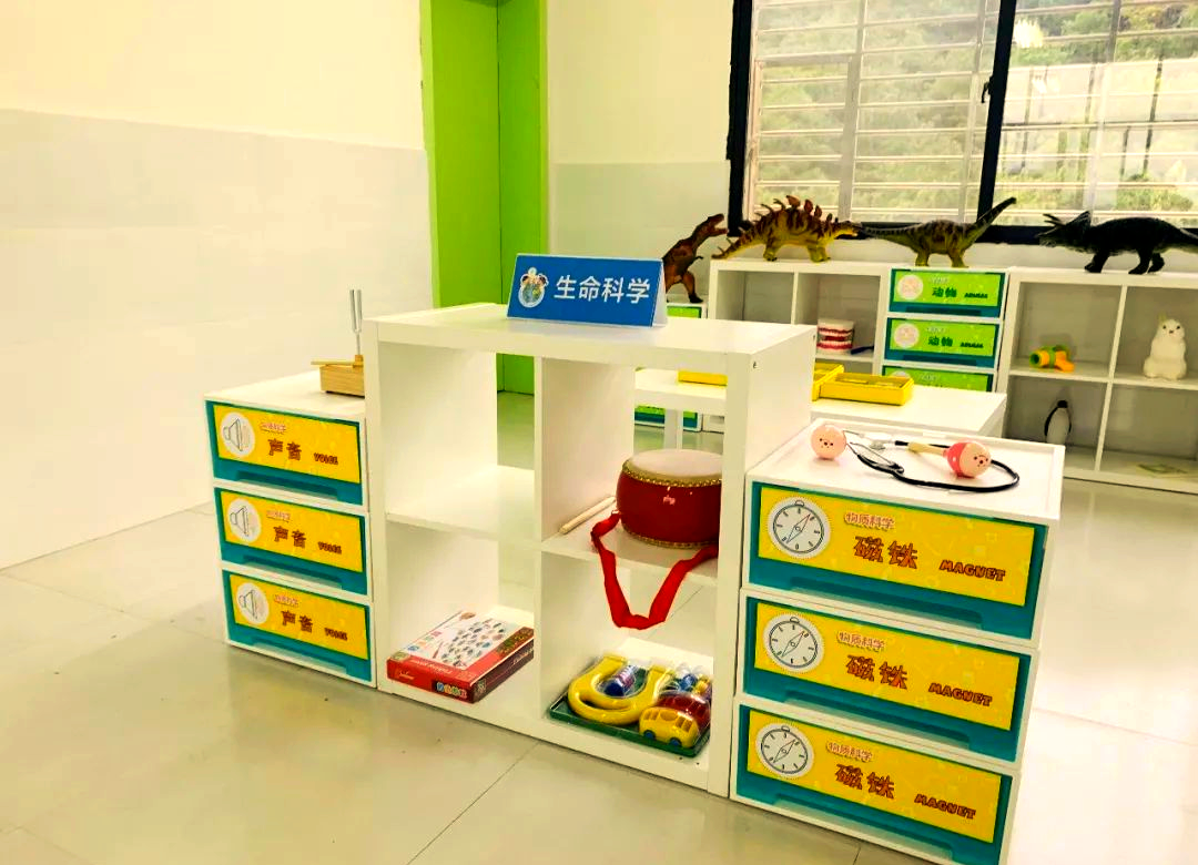 幼儿园生命科学摆放,幼儿园生命科学摆放教案