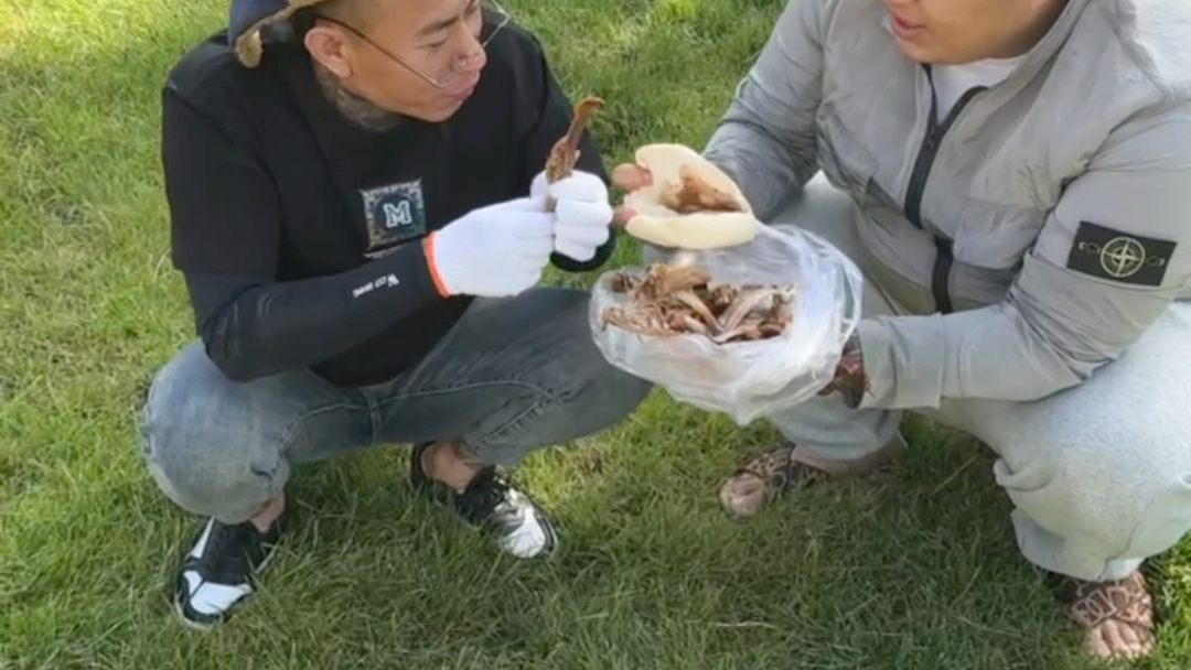 物理世界虎哥视频,虎哥石屋今天新视频
