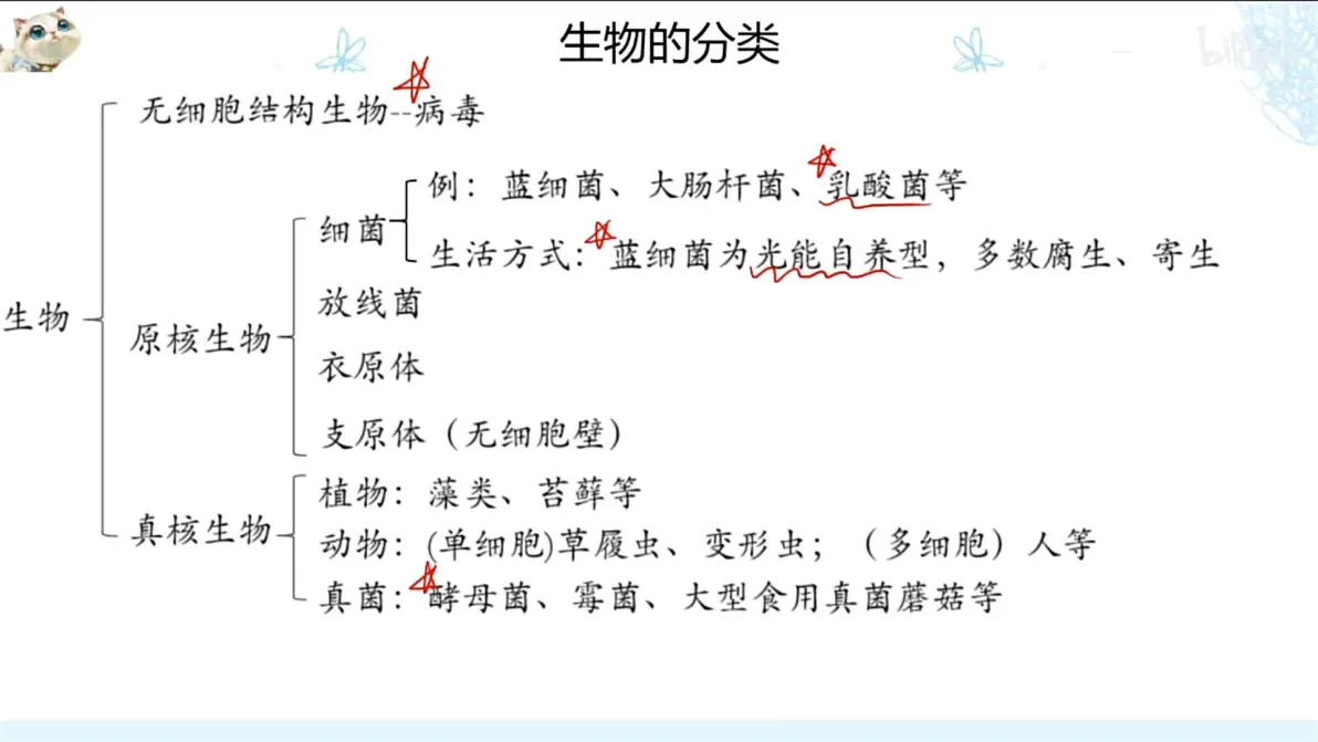 生命科学百科图解电子版,生命科学百科图解电子版下载