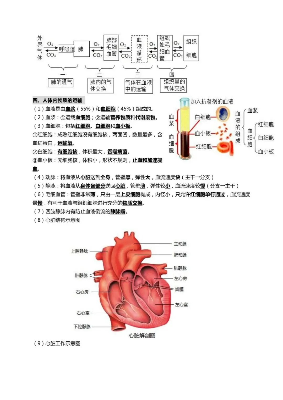 初三生命科学知识点,初三生命科学知识点归纳