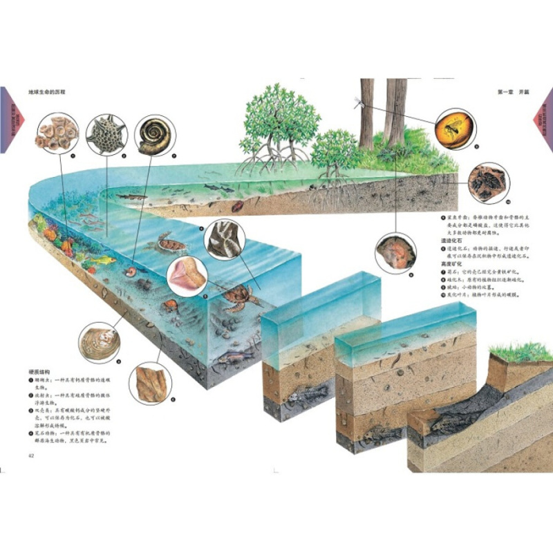地球科学百科君,地球科学是冷门专业吗 地球科学百科君,地球科学是冷门专业吗