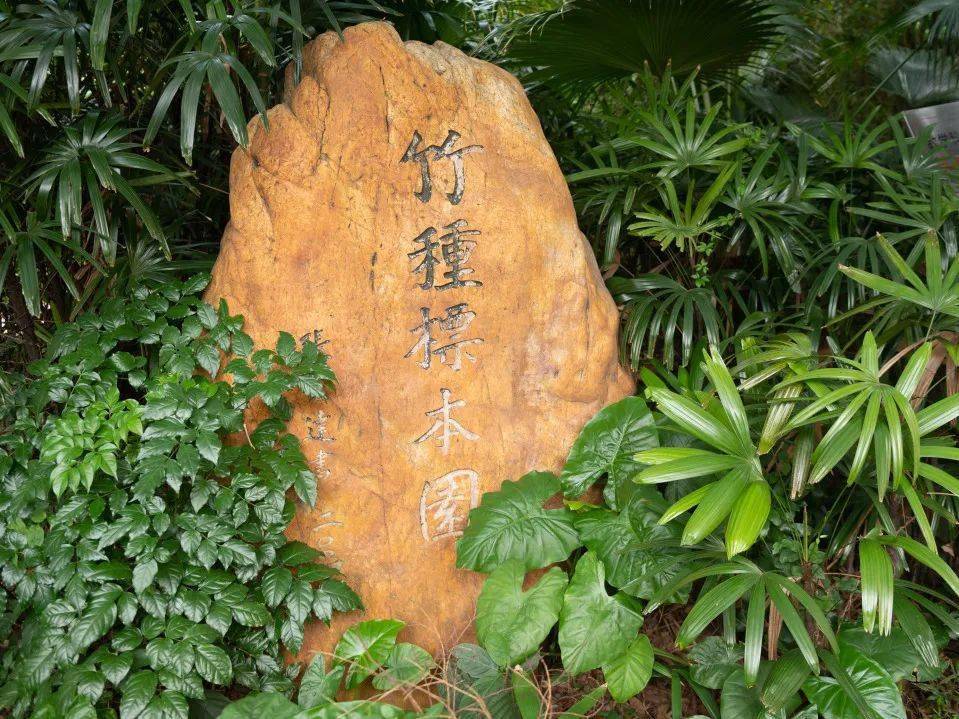 中山大学生命科学数,中山大学生命科学研究生官网招生