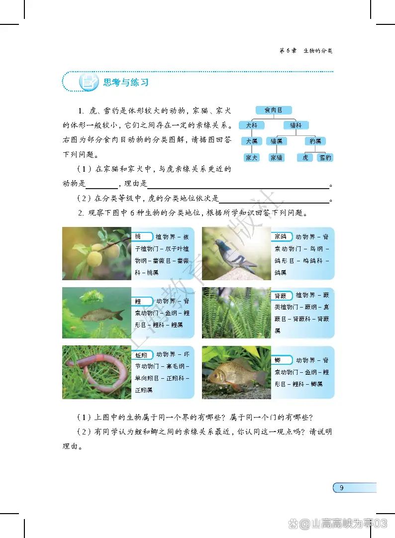 生命科学教材上海版,生命科学教材上海版pdf 生命科学教材上海版,生命科学教材上海版pdf