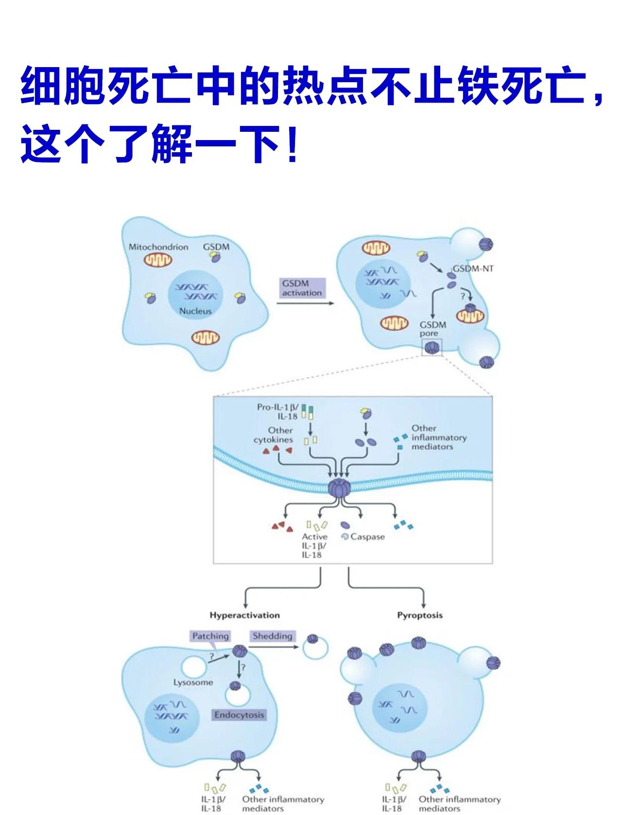 熟知的生命科学是什么,生命科学中的伦理是什么