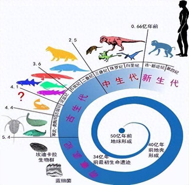 生命科学进化,生命科学最新发现