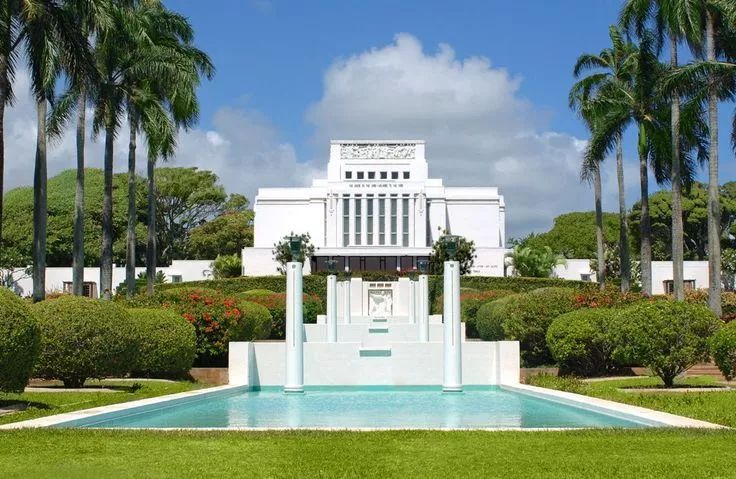 地球科学剑桥,肖战要开演唱会了