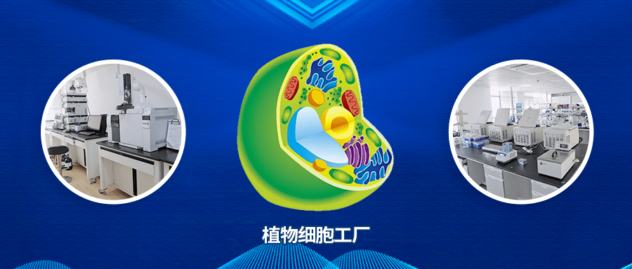 生命科学政策扶持方案,生命科学政策扶持方案怎么写